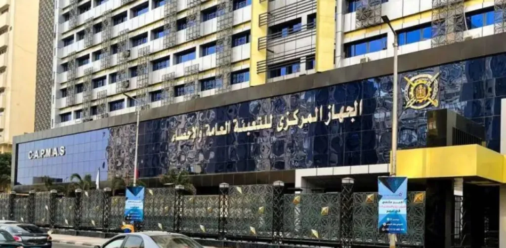 Egypt’s Non-Oil Private Sector Contracts Further in June as the PMI Falls to 46.0, but Cost Pressures Ease