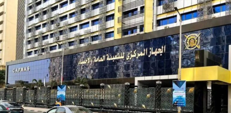 Egypt’s Non-Oil Private Sector Contracts Further in June as the PMI Falls to 46.0, but Cost Pressures Ease