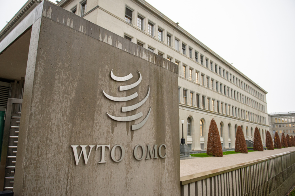 Services Exports Reached 9.6 Trillion Dollars and a Record Share of Almost 28 Percent of Trade
